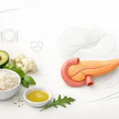 Zdrowe składniki jak ryż, awokado i kalafior wspierają dietę trzustkową. Obok model trzustki i wątroby.