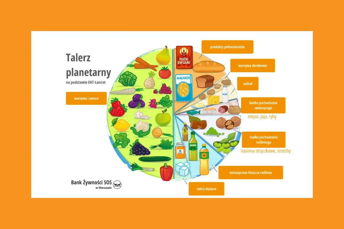 Talerz planetarny pokazuje proporcje produktów: warzywa, owoce, pełne ziarna, białko roślinne i zwierzęce, nabiał, zdrowe tłuszcze i ograniczone cukry.