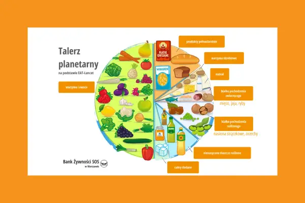 Talerz planetarny pokazuje proporcje produktów: warzywa, owoce, pełne ziarna, białko roślinne i zwierzęce, nabiał, zdrowe tłuszcze i ograniczone cukry.